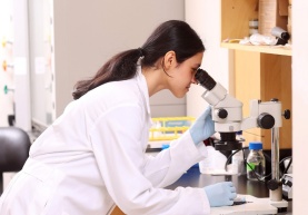 Medical Neuroscience researcher in lab Medical Neuroscience researcher in lab