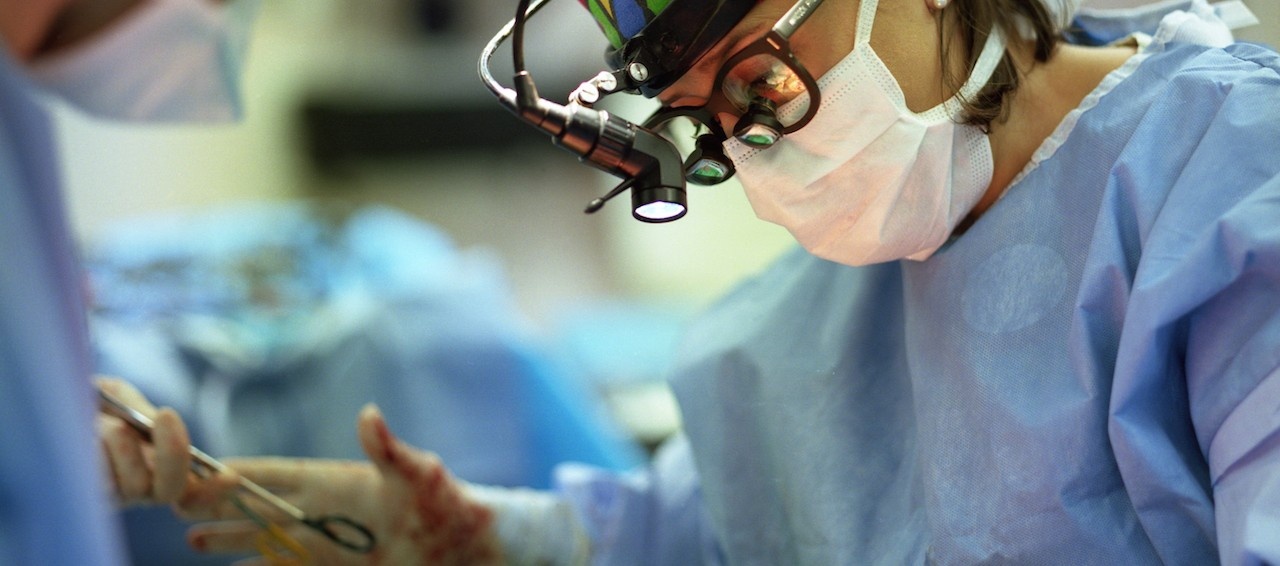 Search Department of Surgery Dalhousie University