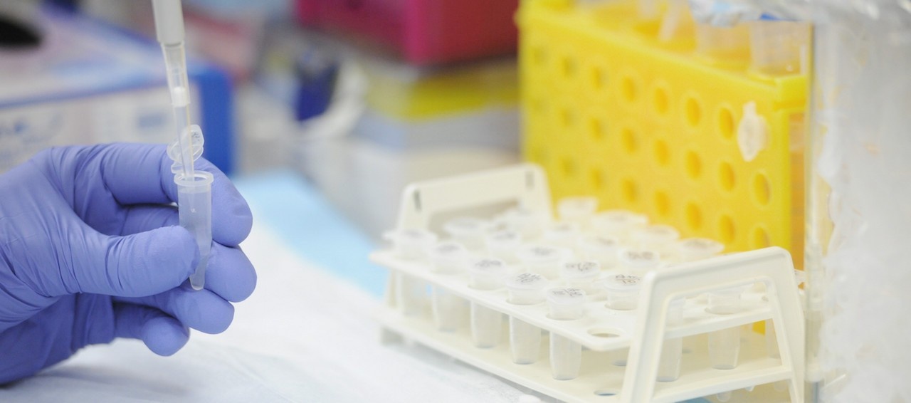 Search Division of Plastic Surgery Dalhousie University